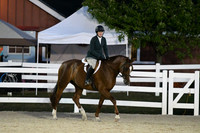 HSM_0585