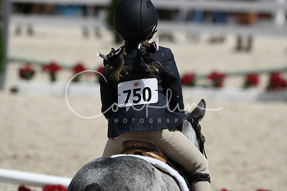 HSM_2962