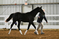 HSM_3620