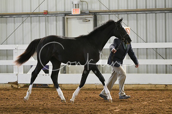 HSM_3620
