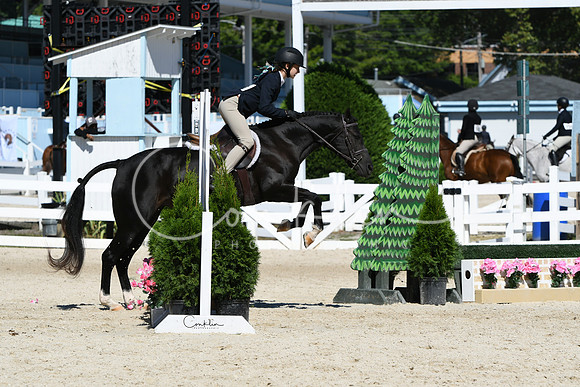HSM_2700-1