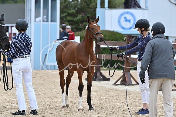 MAK_0757