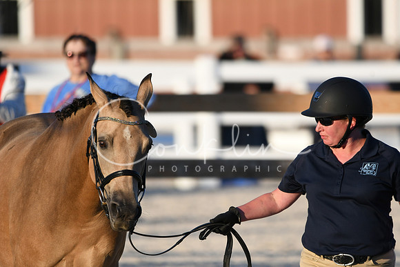 HSM_5652
