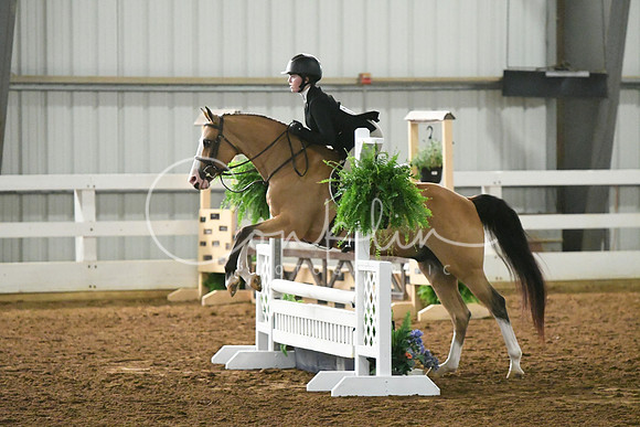 HSM_4356