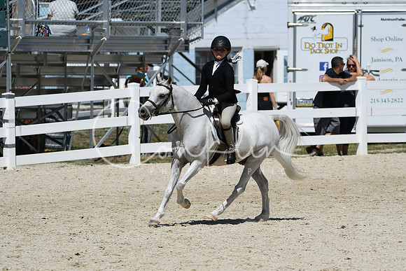 HSM_3223