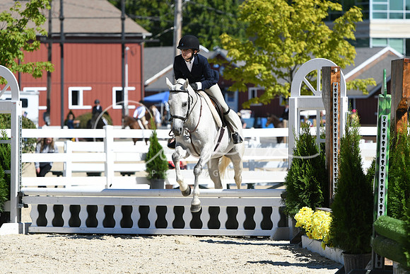 HSM_2821