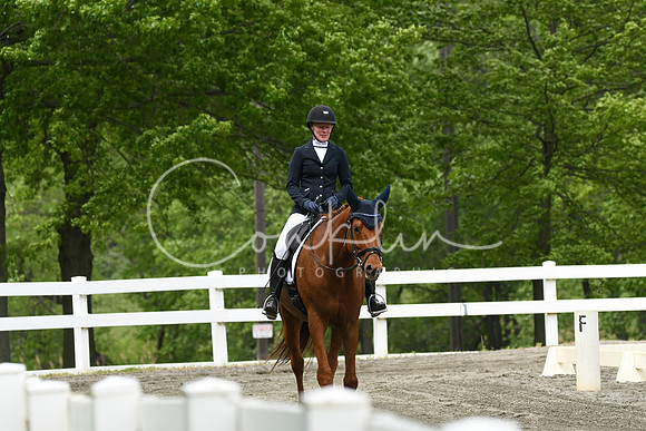 HSM_0594