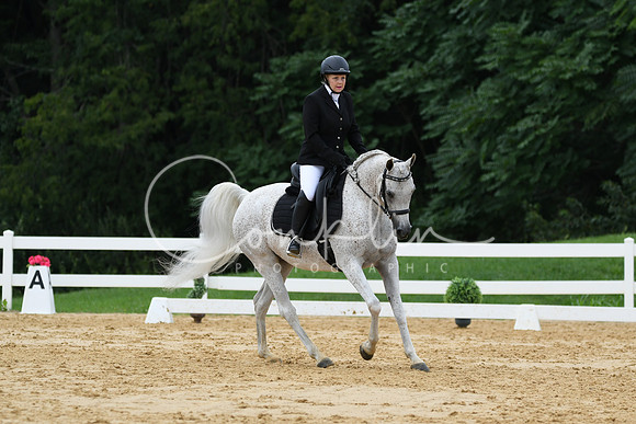 HSM_0290