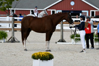 HSM_5506