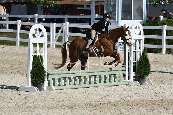 HSM_4031
