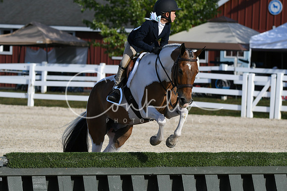 HSM_4319