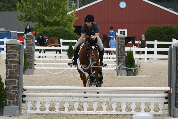 HSM_3231