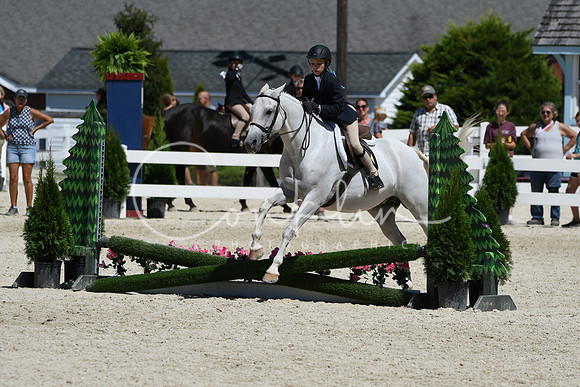 HSM_3195