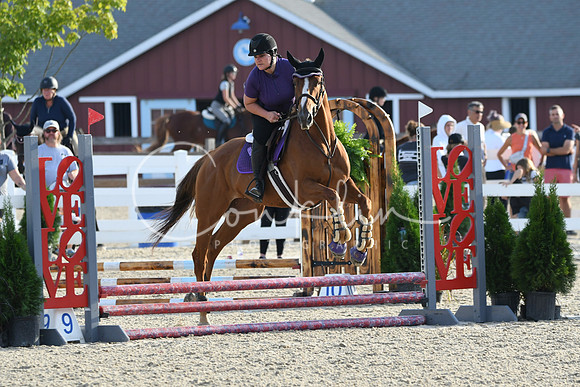 HSM_1179