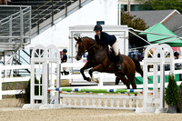HSM_2218-1