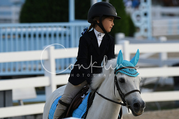 HSM_0919