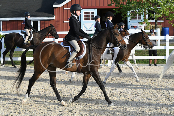 HSM_4561