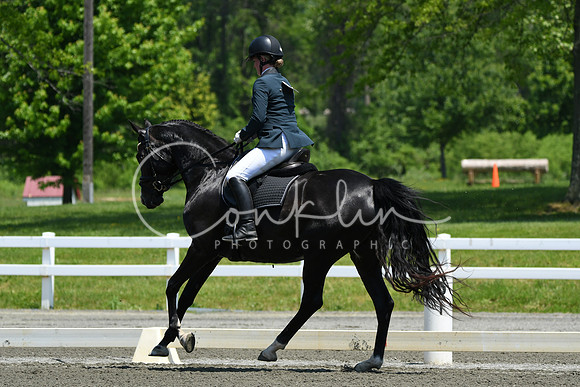 HSM_1819