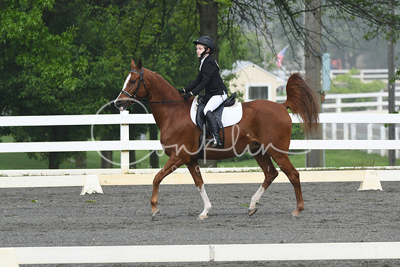 HSM_0895