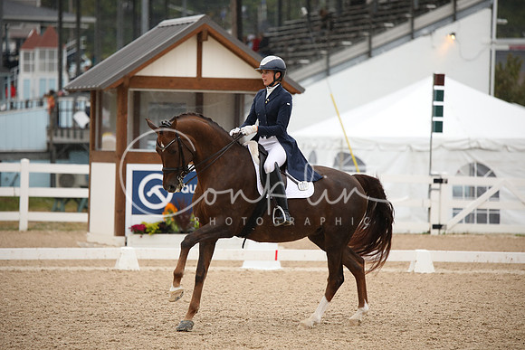 BW241638