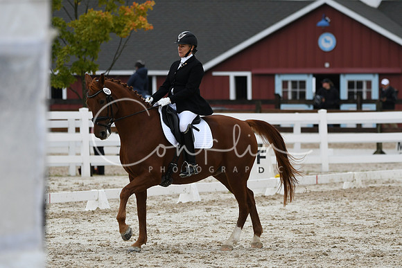HSM_8467