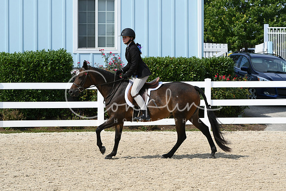 HSM_6413