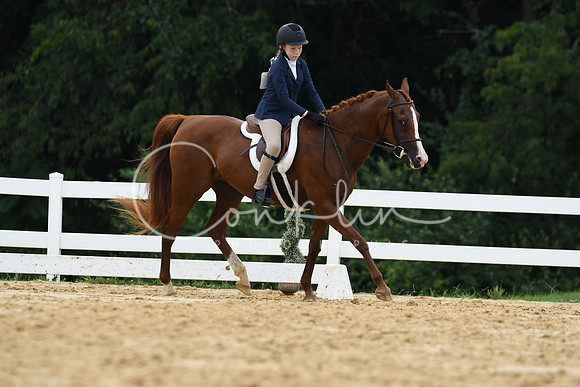 HSM_0032