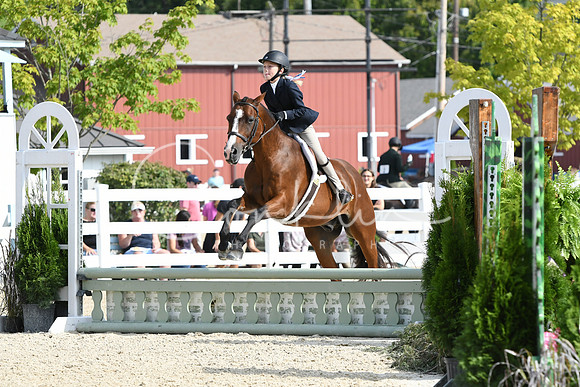 HSM_6028