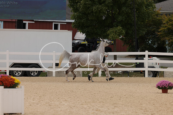 HLK_0665