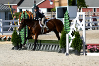 HSM_4231