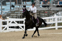 HSM_2637