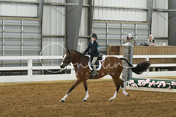 HSM_6527