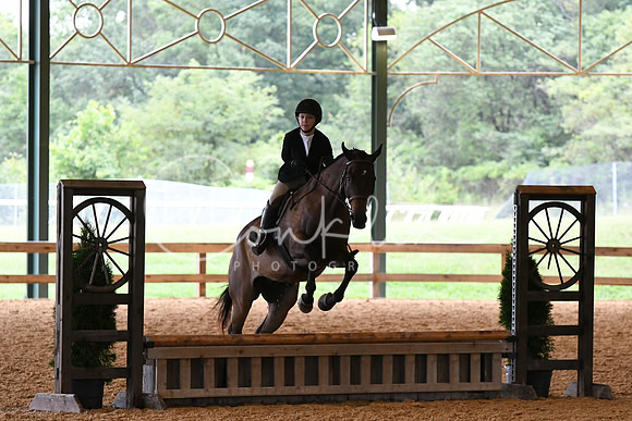 HSM_1290