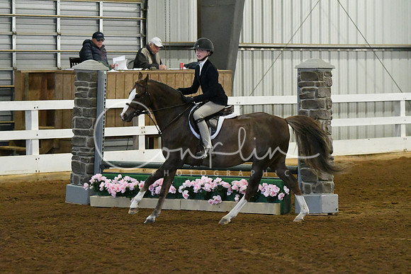 HSM_5651