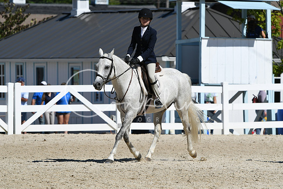 HSM_2789